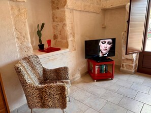 Uma sala de estar com uma poltrona de estampa de leopardo, um cacto, um tabuleiro vermelho e uma televisão sobre um suporte.