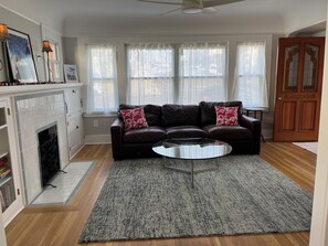Smart TV, fireplace, books