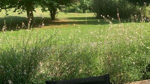 A grassy area with trees and shrubs, a bench, and a clear sky. - Gîte in the heart of the Périgord Noir in a green, peaceful setting  (Saint-Crépin-et-Carlucet)