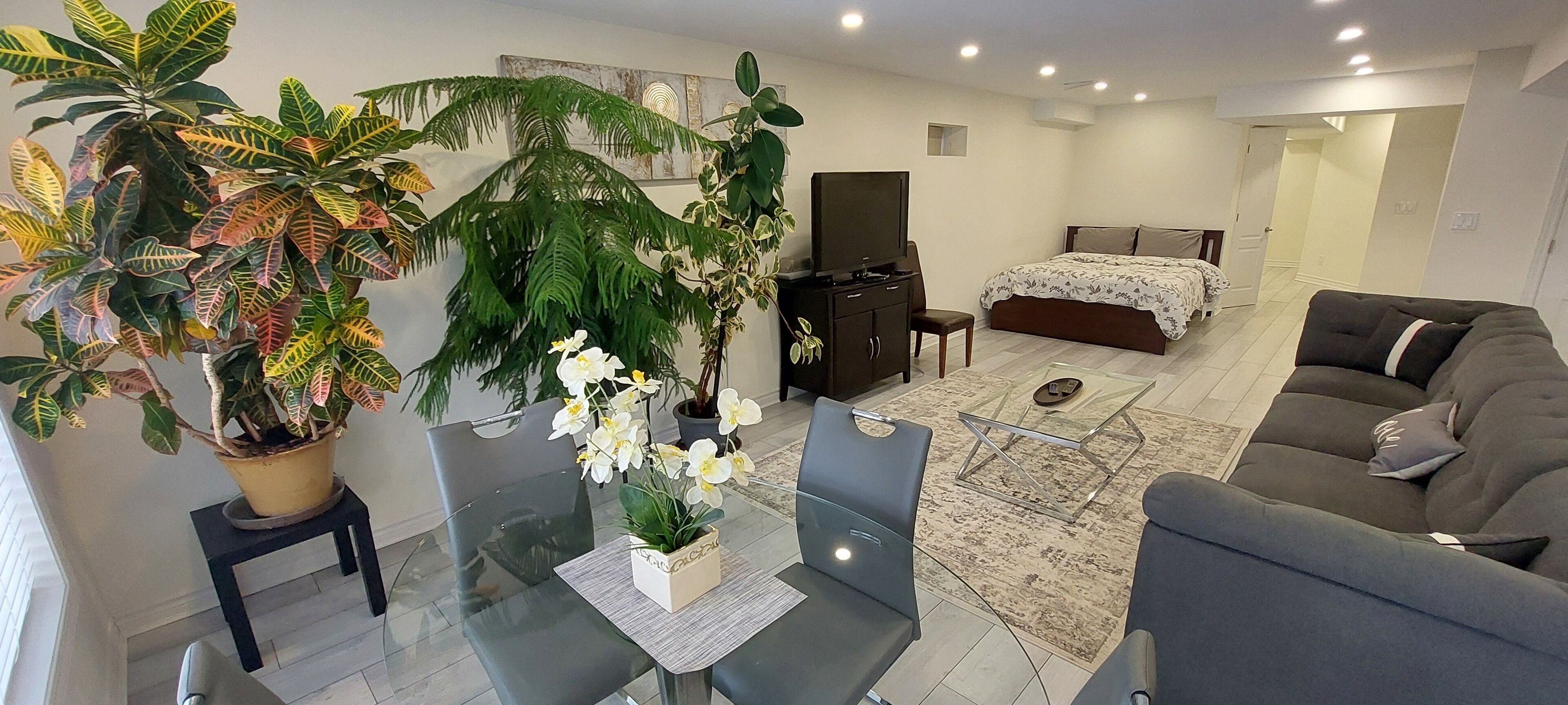 5 habitaciones, escritorio, wifi gratis y ropa de cama 