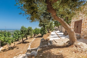Property grounds - 2521 Trullo Monte Cannone - Appartamento 1 by Perle di Puglia (Fasano)