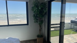 Un balcon avec vue sur la plage, une plante en pot et un barbecue.