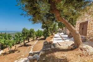 Terrain de l’hébergement 