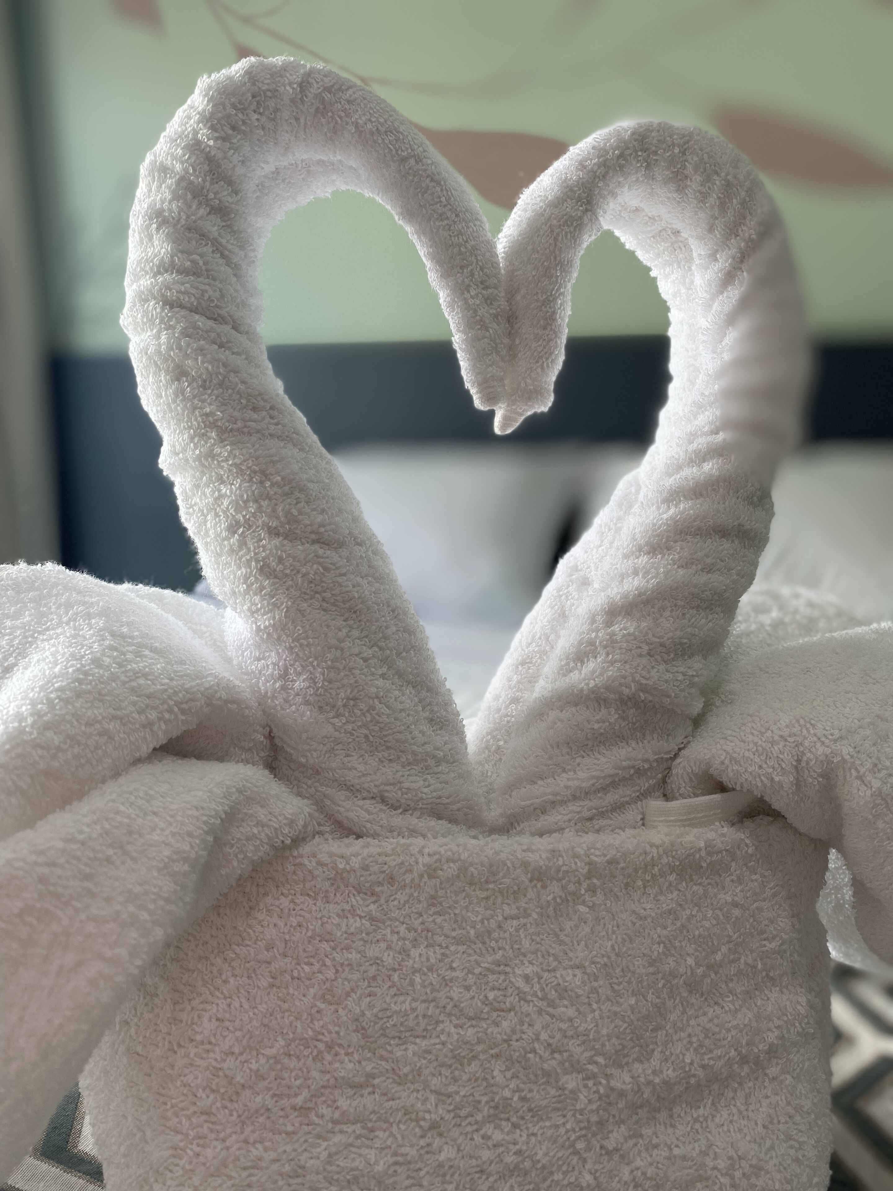 Photo - Pousada Amada Terra