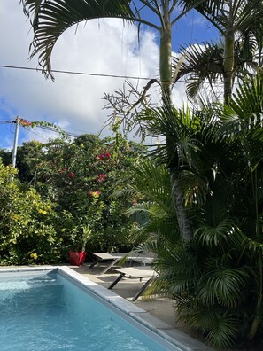 Outdoor pool - Apartment in a green setting (Le Lamentin)