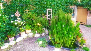 Ein Garten mit verschiedenen Kübelpflanzen, einem kleinen Teich und einem hölzernen Tor.