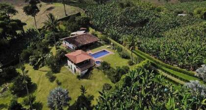 Farm in the coffee heart (Vereda La Plata)