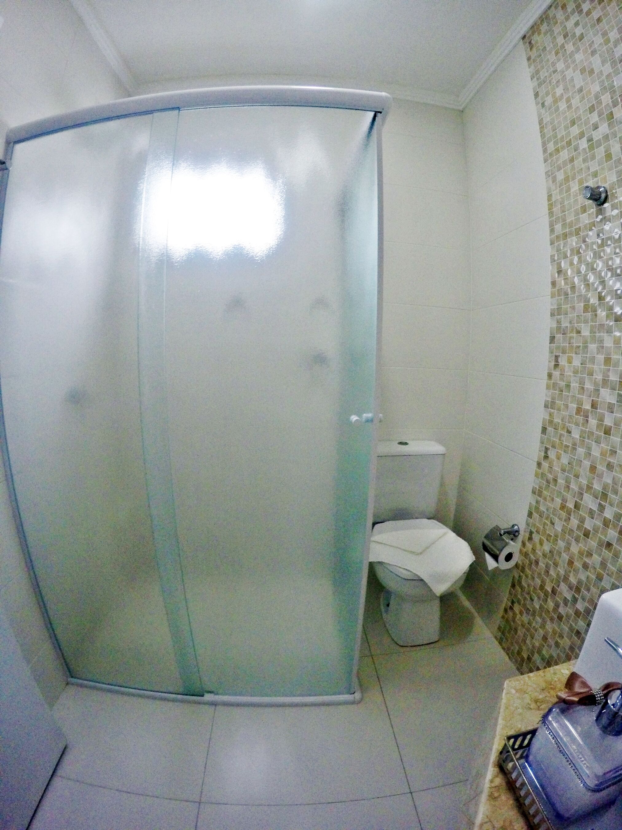 Een badkamer met een douchecabine van glas, een toilet en een betegelde douchewand.