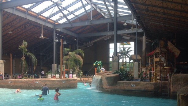 An indoor swimming pool with multiple lanes, palm trees, and a jungle-themed play area. - Family & Pet Retreat-2 Amazing Game Rooms-FencedYd-Pool-Beach-JimThorpe-Speedway (Albrightsville)