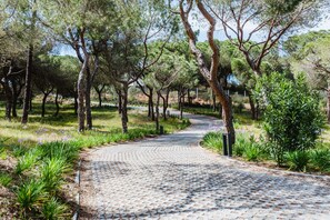 Villa | 2 bedrooms - Casa da Alegria in Vale do Lobo (Loulé)
