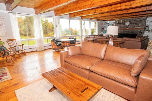 TV, fireplace, video games, ping pong