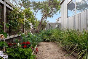 A garden pathway leading to a modern building with a wooden fence and various plants.