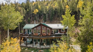 Une cabane dotée d’une terrasse, entourée de forêt.