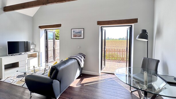 Ein modernes Wohnzimmer mit Fernseher, Sofa, Glastisch und Blick auf ein Feld durch offene Türen.