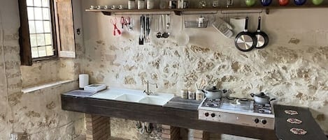 Fridge, stovetop, cookware/dishes/utensils, spices
