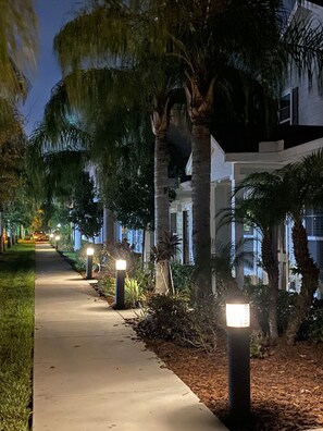 A nighttime pathway lined with palm trees and illuminated by street lamps, leading to a building with large windows.