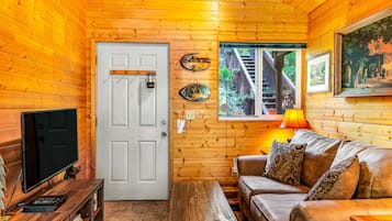 Fernseher, Kamin, DVD-Player, Videothek