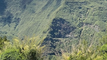 Zona de piscina con sillones de descanso y sombrillas, rodeada de abundante vegetación y montañas al fondo.