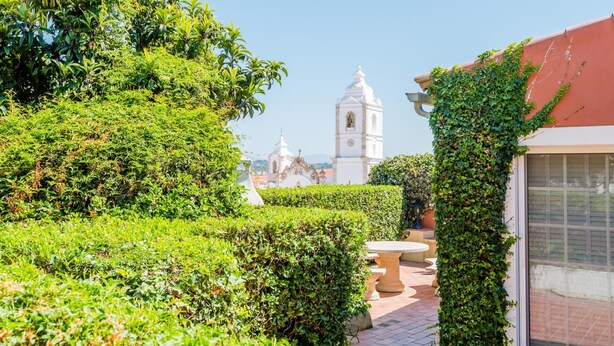 A lush garden with a white church tower in the background. - Casa Omlandia With Pool - Lagos Old Town (Lagos)