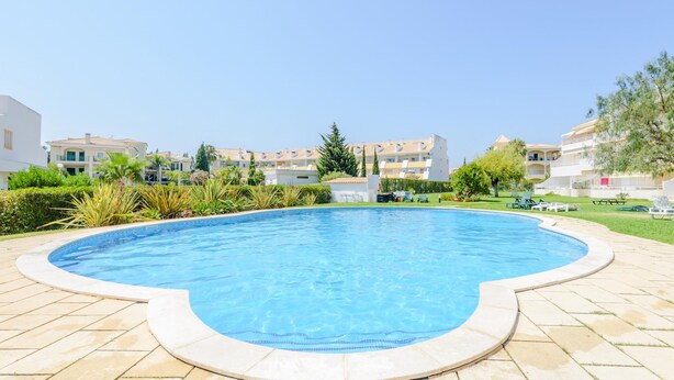 Una piscina con borde curvo, rodeada por una terraza con baldosas.