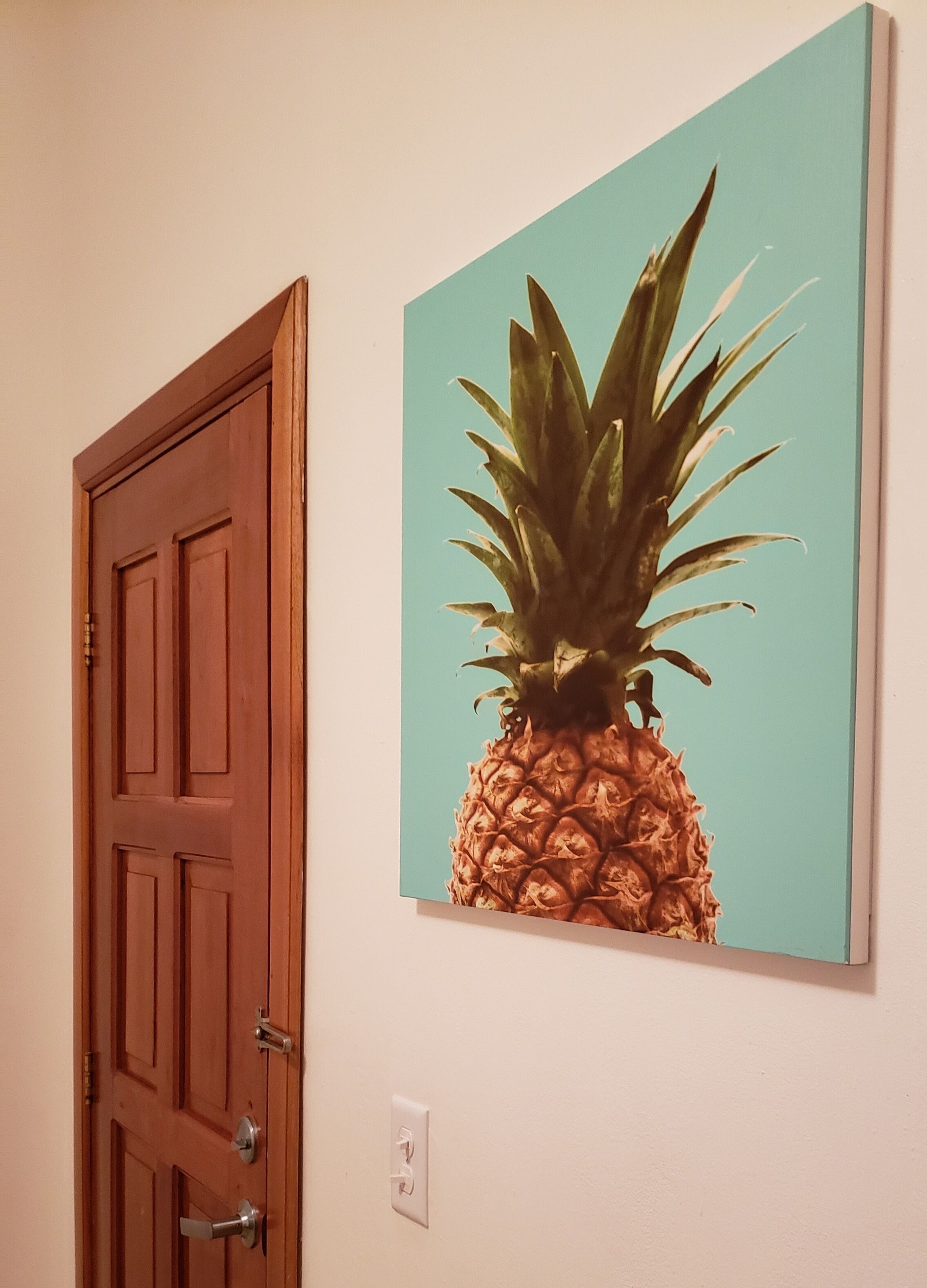 Foto - Pineapple House