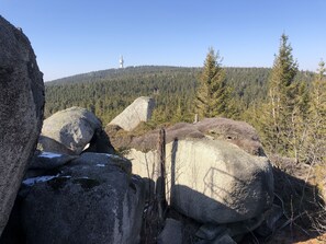 Vuoristoinen maisema, jossa on suuria kiviä, metsäinen kukkula ja kauempana näkyvä torni.