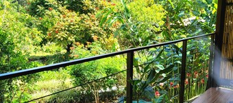 Ecoresort:  We are Panamas leading honey producer and  butterfly exhibit.