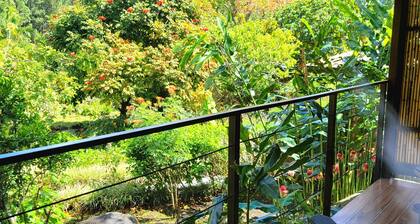 Ecoresort: We are Panamas leading honey producer and butterfly exhibit.