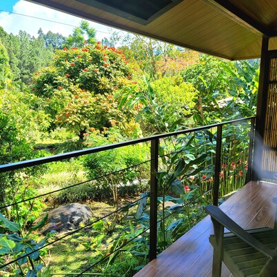 Ecoresort:  We are Panamas leading honey producer and  butterfly exhibit.