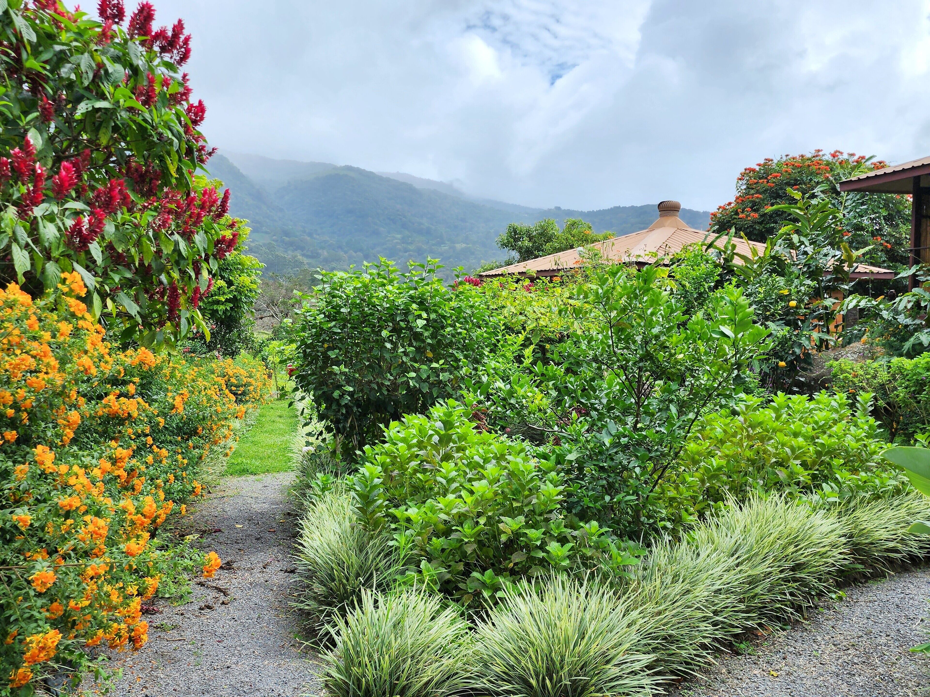 Jardines del alojamiento