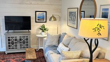 Smart TV, books, video library