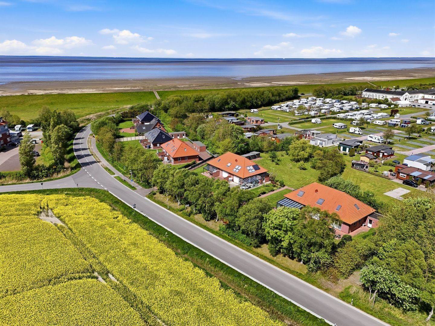 A residential area with houses, a road, and a field of yellow flowers.
