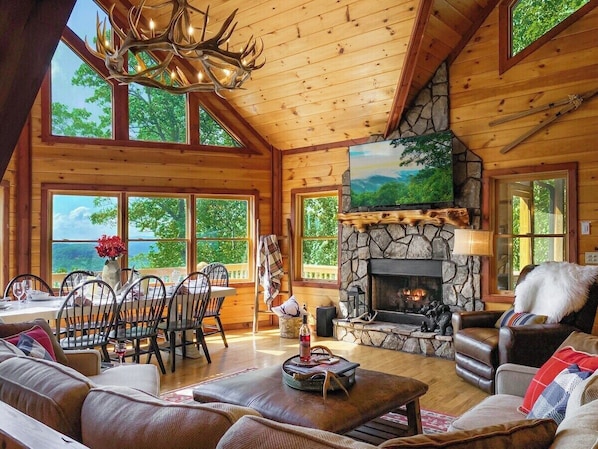 TV, fireplace, video games, DVD player