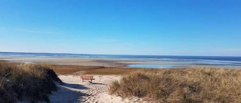 Playa en los alrededores