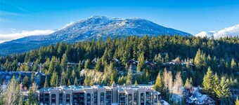 Ironwoods Blueberry Hill by Whistler VR