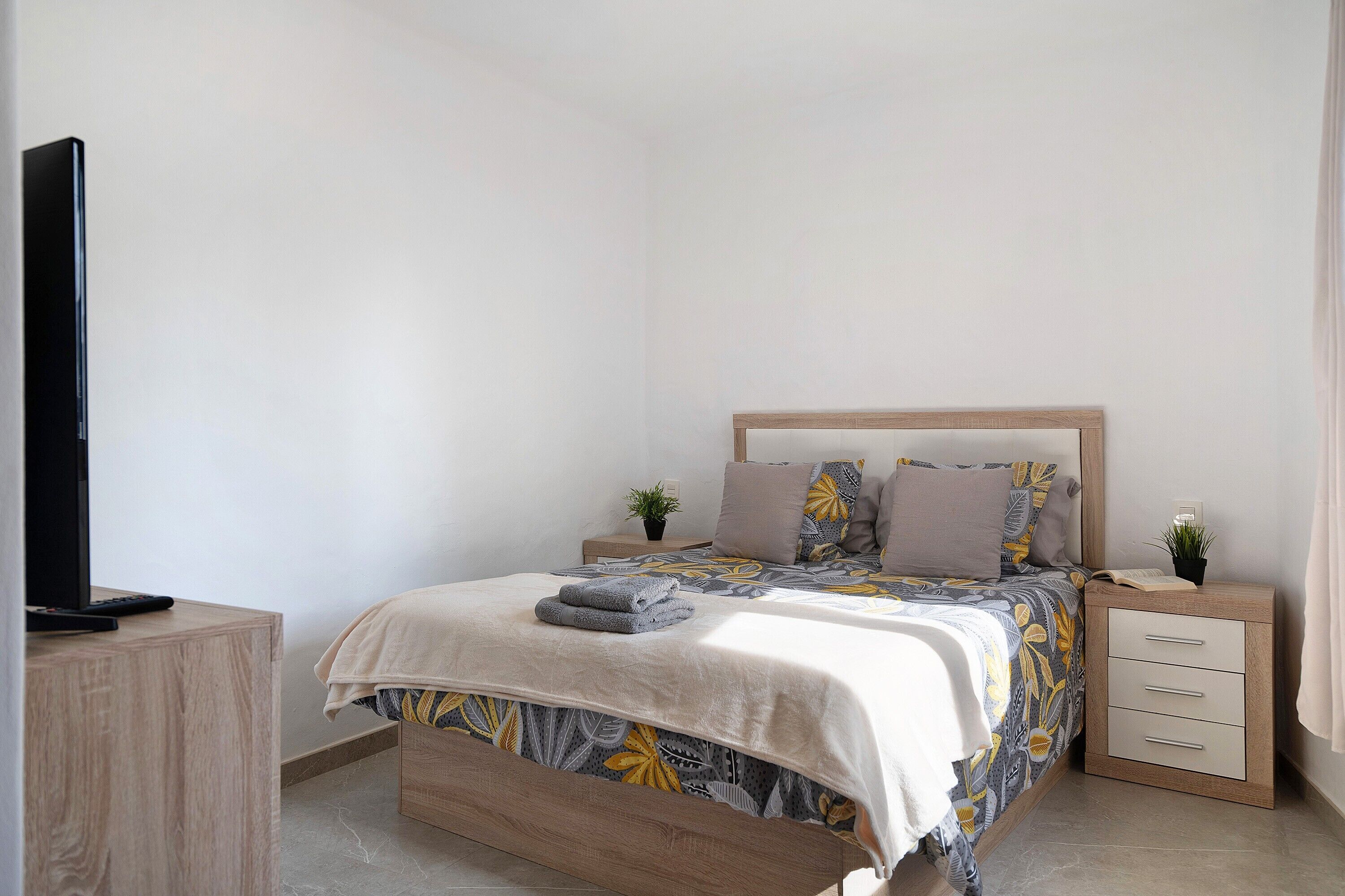 Un dormitorio con cama, mesitas de noche, televisor y una planta pequeña.