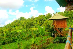 Property grounds - bali tree house (Bali)