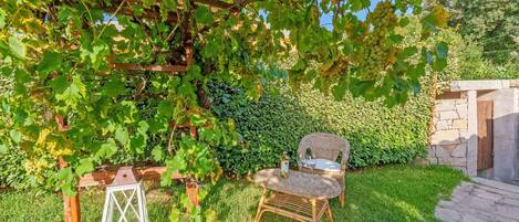 Een tuin met een pergola, een rieten stoel, een lantaarn en een fles wijn.