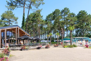 Un restaurant doté d’une terrasse et entouré de grands pins.