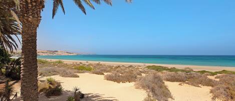 Playa en los alrededores