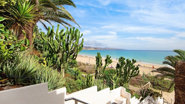 Una escalera que lleva a una playa con cactus y palmeras.