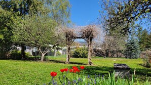 Un jardín con césped, árboles y una estructura de madera.