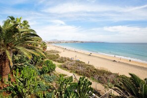 A beach with palm trees and a clear sky.