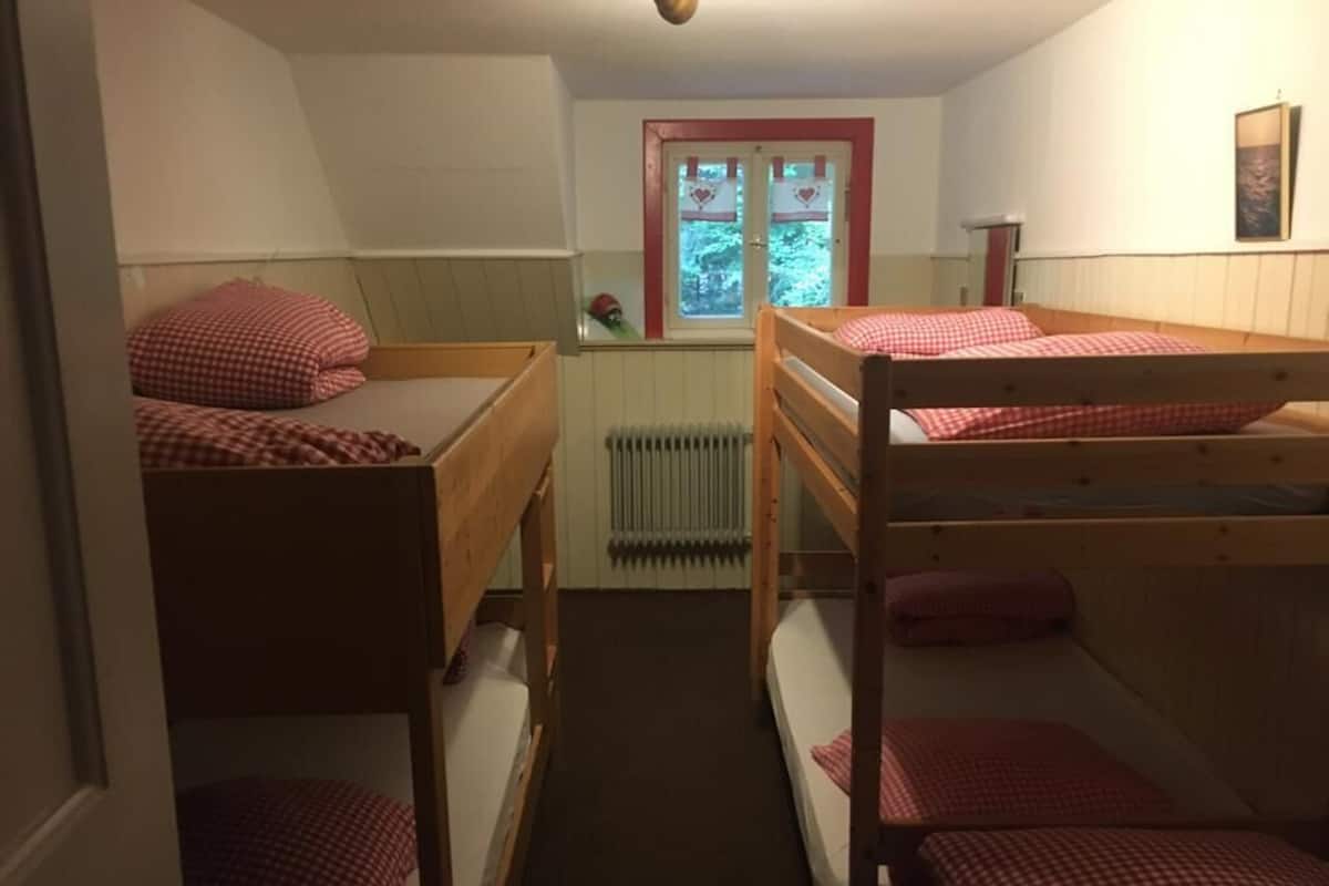 Una habitación de residencia estudiantil con literas, un radiador, una ventana con vistas a árboles y un cuadro en la pared.