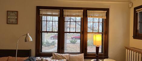 Smart TV, fireplace, DVD player, books