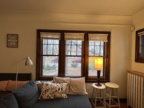 Smart TV, fireplace, DVD player, books