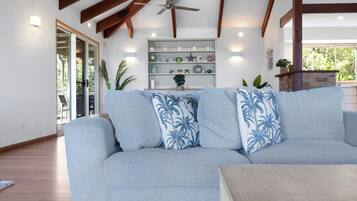 Smart TV, fireplace, books, stereo