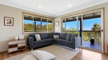 Smart TV, fireplace, books, stereo