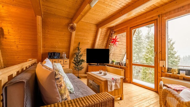 A cozy wooden cabin interior with a sofa, a small table, a television, and a window overlooking trees.