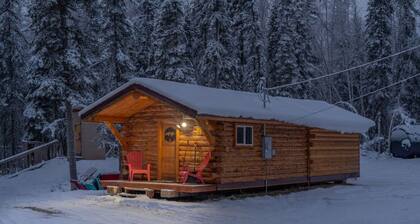1 Bd. Deluxe Log Cabin | View Northern Lights!